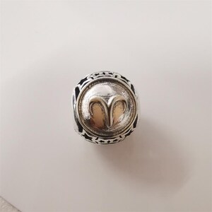 pandora zodiac star sign silver charm all 12 horoscope