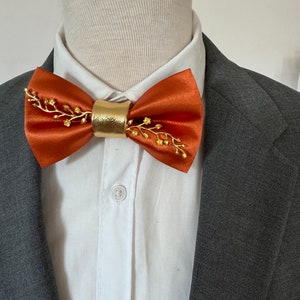 May include: A burnt orange bow tie with a gold leaf design and a gold trim. The bow tie is on a white shirt and a gray suit jacket.