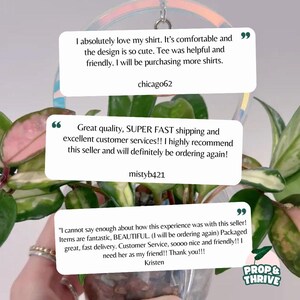 May include: A close-up of a plant with pink and green leaves in a clear hanging pot. The image includes customer reviews in white speech bubbles. The text includes phrases like "comfortable" and "great quality."