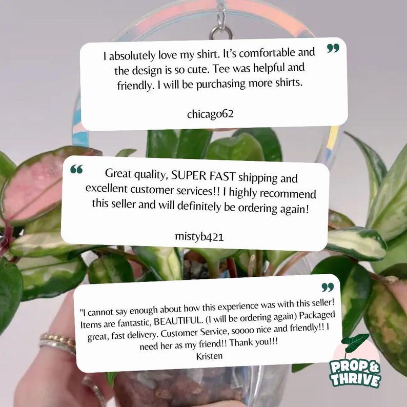 May include: A close-up of a plant with pink and green leaves in a clear hanging pot. The image includes customer reviews in white speech bubbles. The text includes phrases like "comfortable" and "great quality."