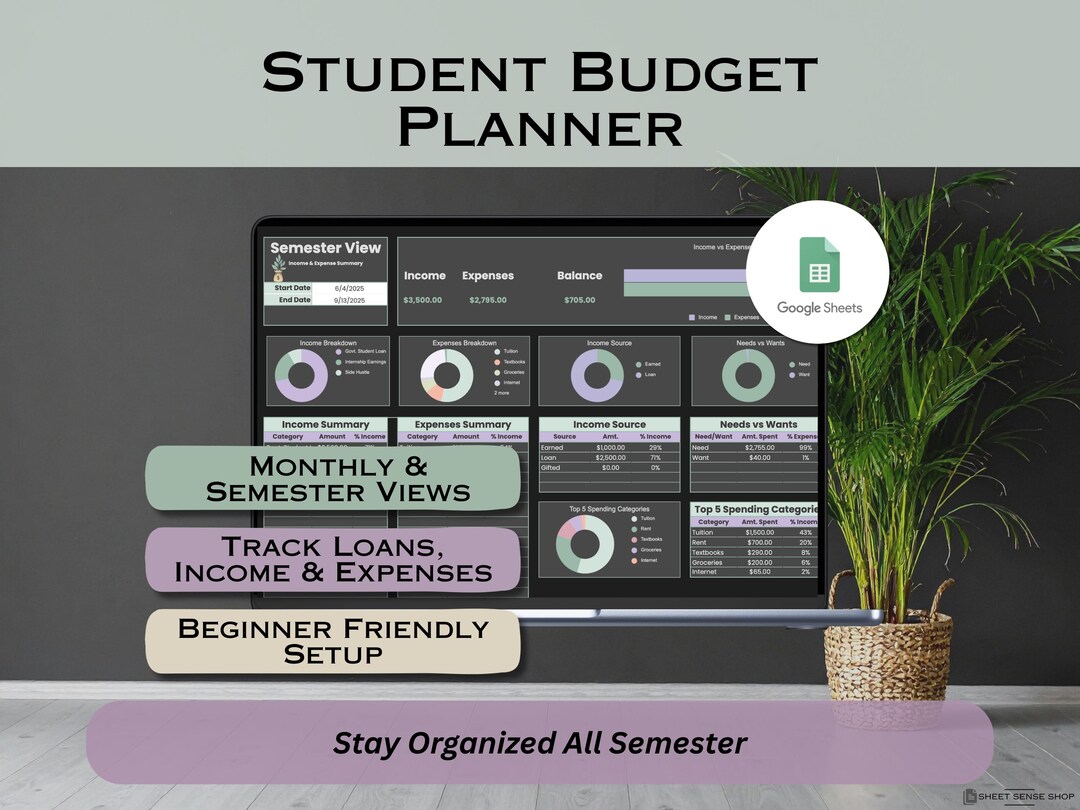 Student Budget Planner for Google Sheets, College Student Budget ...