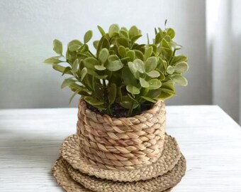 Handwoven Seagrass Plant Basket with Faux Greenery | Small Boho Indoor Decor | Rustic Wicker Pot for Shelf or Tabletop