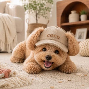 Custom Embroidered Dog Hat with Ear Holes, Personalized Corduroy Pet Cap for Dogs to Wear, Custom Dog Baseball Hat with Name