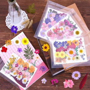 May include: Arrangement of dried flowers in various colors, including pink, yellow, purple, and white, displayed on cards and in clear plastic sleeves. Some loose flowers are scattered around the cards, with a glass bottle and decorative paper doily in the background.