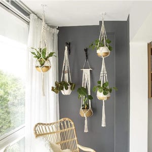 May include: Several macrame plant hangers with potted plants are suspended from the ceiling. The hangers are made of cream-colored rope and hold various plants in white and gold pots. The background is a gray wall and a window with white curtains.