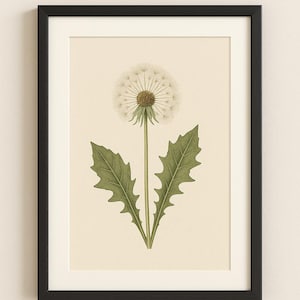 Dandelion