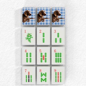 The image is a collage of nine images, each depicting a dog in various poses and poses. The images are arranged in a grid format, with three images in each row and three images in each column. The dogs are shown in different poses, such as sitting, standing, and lying down. The images are arranged in a visually appealing manner, creating a collage-like effect.