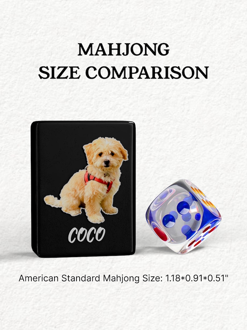 a small dog wearing a red harness, with the word "Coco" written below the dog. The image is accompanied by a dice with a blue and white pattern.