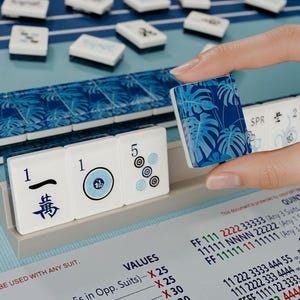 A hand is holding a blue and white tile with a floral pattern, while a table with a blue and white tablecloth and a blue and white tile display is visible in the background.