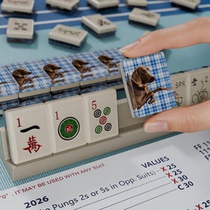 Custom Pet Resin Mahjong American Set 166 Pcs, Blue Plaid Dog Tile Backs, Travel Mahjong Available, Mothers Day Gift