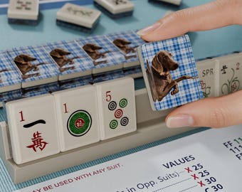 Custom Pet Resin Mahjong American Set 166 Pcs, Blue Plaid Dog Tile Backs, Travel Mahjong Available, Mothers Day Gift