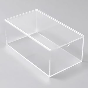 A clear, rectangular plastic container with a lid, sitting on a plain surface.