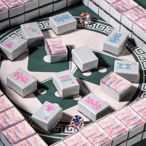 Custom American Mahjong Set 166 Pc Tiles, Personalized Art Backs from Hand-Painted Photo, Gray Resin Handmade Game Night Gift image 5