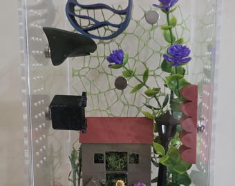 Jumping spider enclosure-Farmhouse