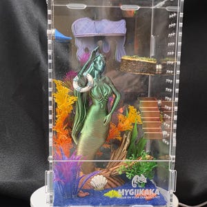 Jumping Spider Enclosure-Under the Sea/Mermaid