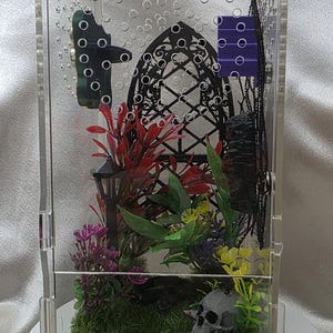 Jumping Spider Enclosure-Gothic themed