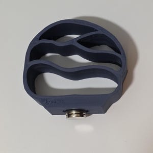 Magnetic jumping spider hide