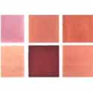 May include: Six small squares of blush in various shades of pink, peach, and red. The blush is arranged in two rows of three.