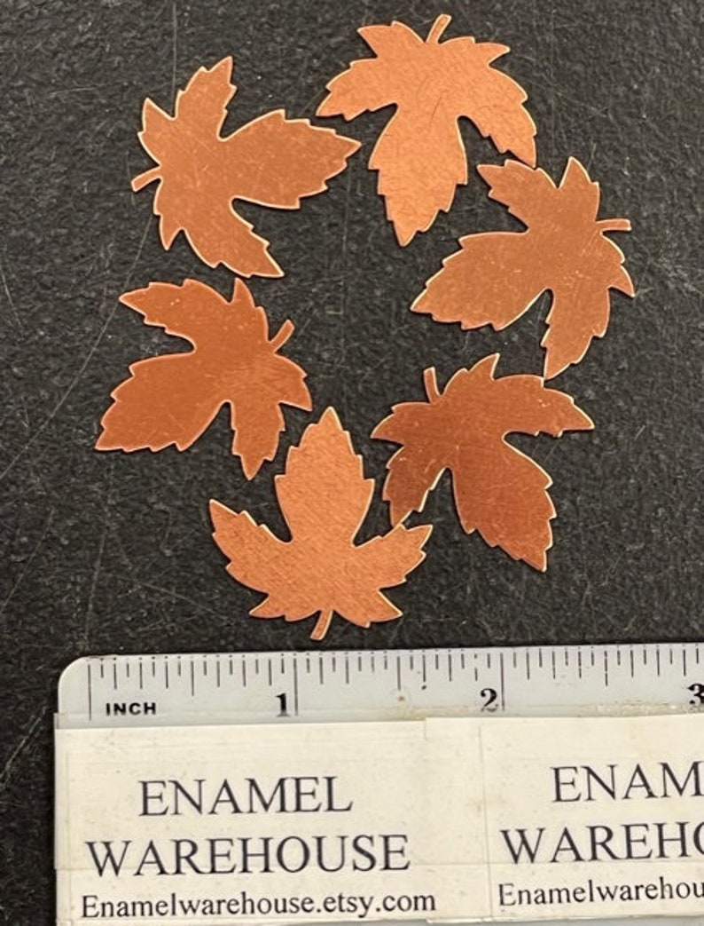 K&ouml;nnte beinhalten: Sieben kupferne Ahornbl&auml;tter, jedes etwa 2,5 cm gro&szlig;, in einem Kreis auf einer dunkelgrauen Oberfl&auml;che angeordnet. Am unteren Rand des Bildes ist ein Lineal mit der Aufschrift "INCH" und den Zahlen 1, 2 und 3 zu sehen.
