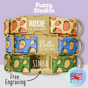 Cute Mango Dog Collar Personalized, Mangos Tropical Fruits Collar & Leash Set, Metal Buckle, Free Engraving (FS-40)