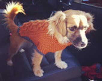 SALE -Ready to Ship - Ribbed Cable Knit - Rust - 10.5" Length - Yorkie - Chihuahua