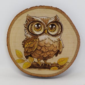 Cute Owl Wood Burning Wall Art – 5x5 Pyrography with Colored Pencil on Rustic Basswood – Woodland Animal Decor