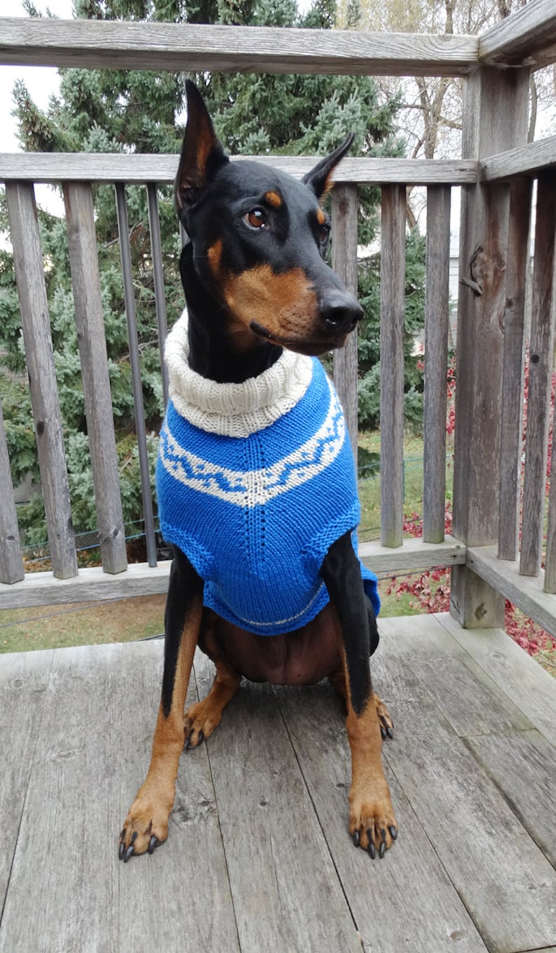 Doberman/xlarge Dog Coat/sweater With Roll Collar in Blue and Etsy