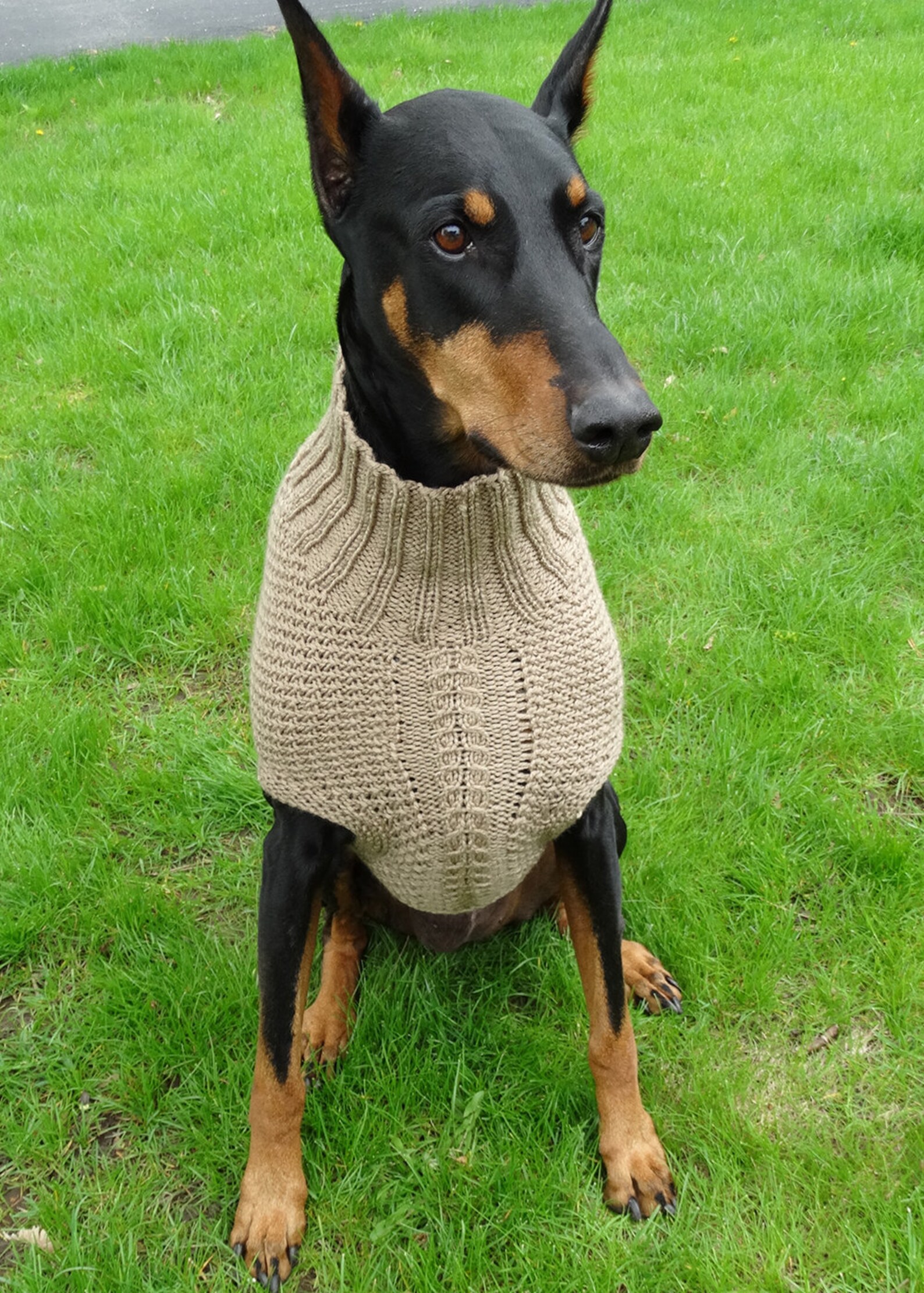 Doberman XLarge Dog Coat/Sweater/Dark Taupe Etsy