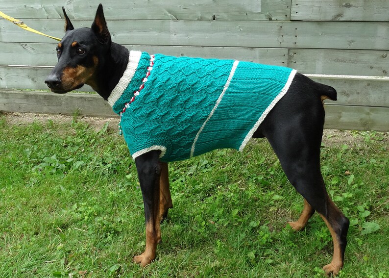 doberman sweater