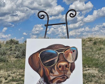 German Shorthair Pointer Gsp hunting dog pheasant