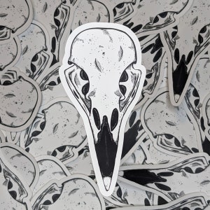 Raven Skull Sticker - Black and White Raven Skull Vinyl Sticker Decal for Water Bottle, Laptop, Accessories, Decoration - Hand Drawn Art