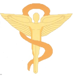 Chiropractic Logo counted Cross Stitch Pattern