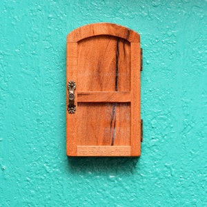Mesquite outlet #O150 Hidden outlet cover, fairy door