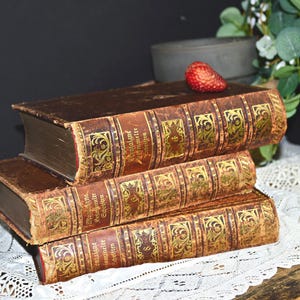 Antique 1910 Michel de MONTAIGNE Gesammelte Schriften Set of 3 A German Collection of Writings