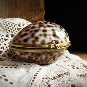 May include: A polished cowrie shell box featuring a natural brown and black spotted pattern on a cream-colored surface. The shell is hinged with a metallic gold-toned brass rim and a small latch mechanism, creating a secure, oval-shaped container.