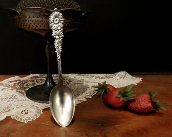 Antique Victorian Sterling Serving Spoon / Souvenir Flatware / Cereal Spoons / Codding Brothers Heilborn of North Attleboro Massachusetts