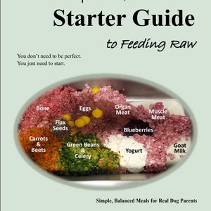May include: A guide titled "LAZY DOG MOM Starter Guide to Feeding Raw" with a visual of raw food ingredients: bone, eggs, organ meat, muscle meat, blueberries, carrots & beets, green beans & celery, yogurt, and goat milk. The guide promotes simple, balanced meals.
