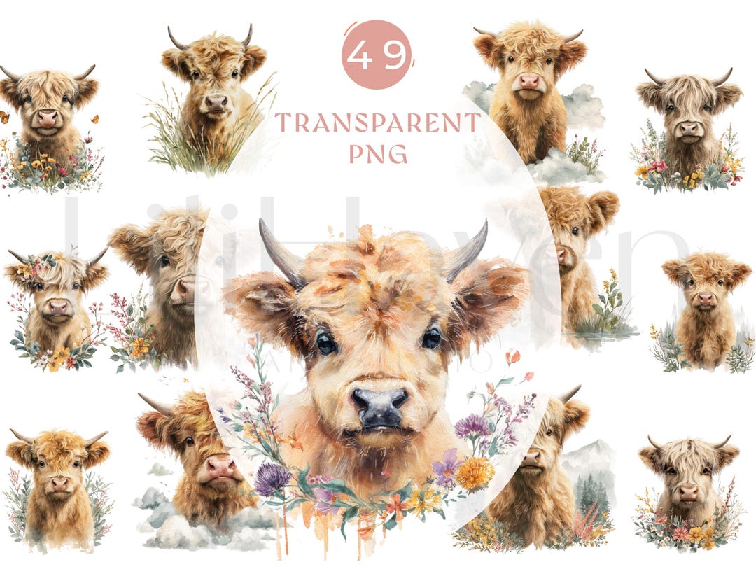 Highland Cow Watercolor Clipart Set, Cute Baby Highland Cattle PNG ...