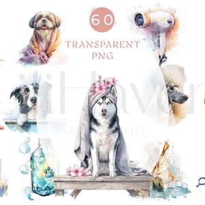 60 Watercolor Dog Grooming Clipart PNG, Pet Spa Bath Time Dogs, Groomer Tools Hair Dryer Clippers, 300 DPI Transparent PNG