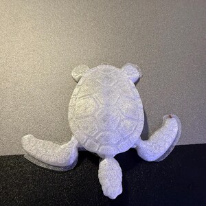 Frog or turtle