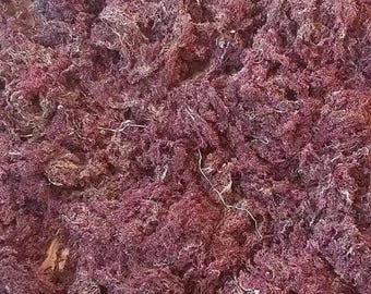 FINE PURPLE Irish Sea Moss (Jamaican, Raw, Wild-crafted, Sea Moss/Irish Moss) Wholesale/Retail.