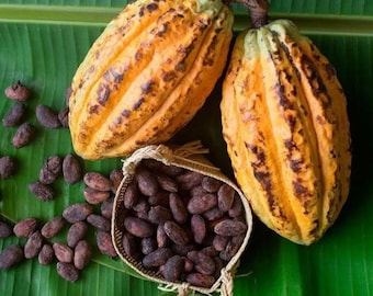 Raw Chocolate (Jamaican)