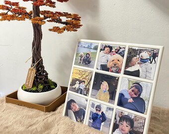 Magnetic Photo Frame with 9 Boutique Magnets