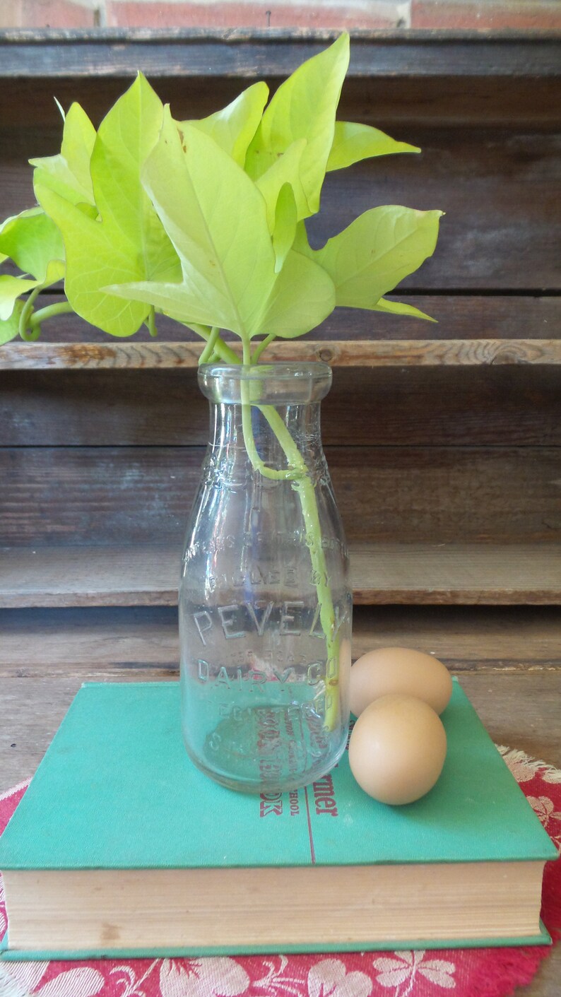 Pevely Dairy Co. Milk Bottle Pevely Dairy Co. St. Louis Etsy
