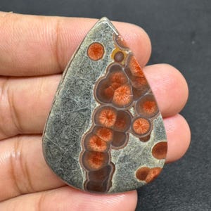 May include: A teardrop-shaped gemstone with a unique pattern. The stone features a gray base with intricate veining and is adorned with clusters of reddish-orange, flower-like formations. The polished surface highlights the natural colors and textures of the stone.