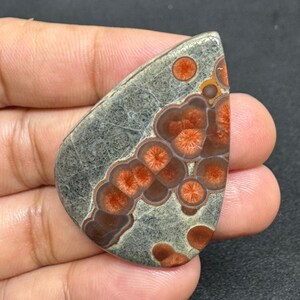 May include: A polished, teardrop-shaped gemstone with a unique pattern. The stone features a gray base with intricate brown and orange circular designs. The orange centers have a starburst pattern, creating a striking visual contrast. The stone is held in a hand.