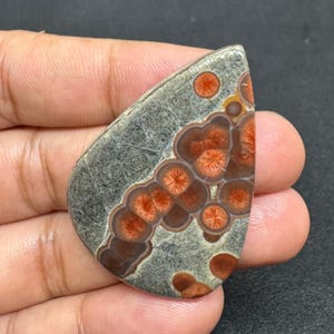 May include: A polished, teardrop-shaped gemstone with a gray base and intricate patterns of reddish-orange and brown circular designs. The stone is held in a hand, showcasing its unique color and texture. The gemstone is a natural, decorative item.