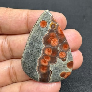 May include: A teardrop-shaped gemstone with a gray base and a pattern of reddish-orange and brown circular formations. The stone has a polished surface and is held in a hand.