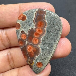 May include: A teardrop-shaped gemstone with a gray base and intricate patterns of reddish-brown and orange circular designs. The stone has a polished surface and is held in a hand, showcasing its unique color and texture.
