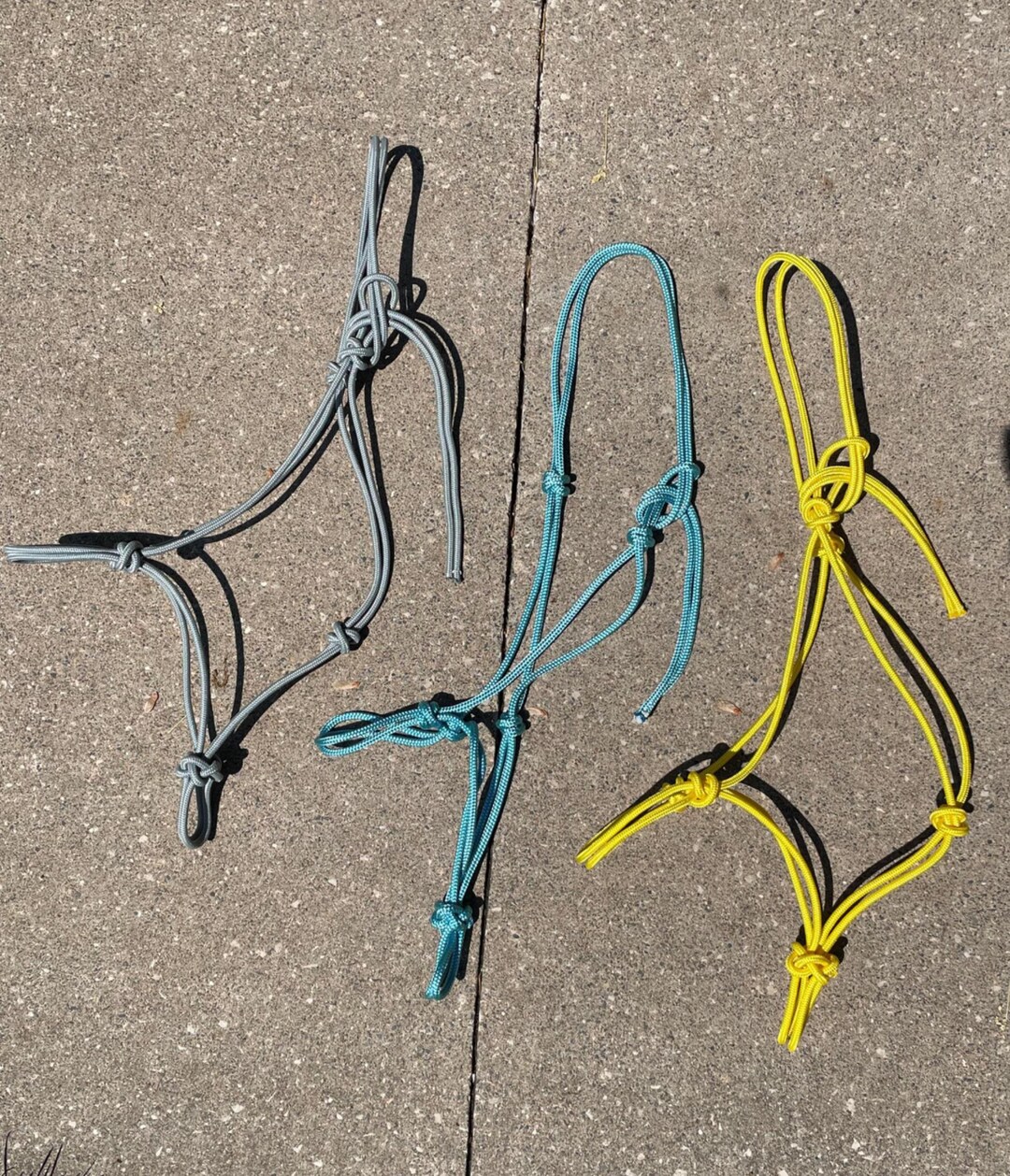 Custom Rope Halter - Etsy